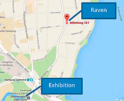 reference_raven_smm