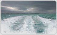 t_dark_horizon_miami