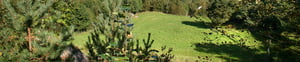 green_banner